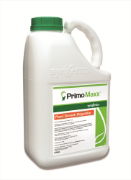 Primo Maxx bottle