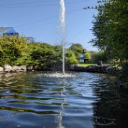 Pond and Lake Care