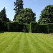 Granular and Pelleted Lawn Fertilisers