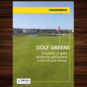 Barenbrug Golf Greens