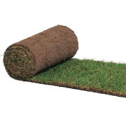 Sports Turf