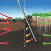 Fine Turf Aeration