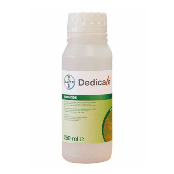 Dedicate     250ml