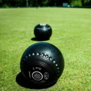 image of bowls green