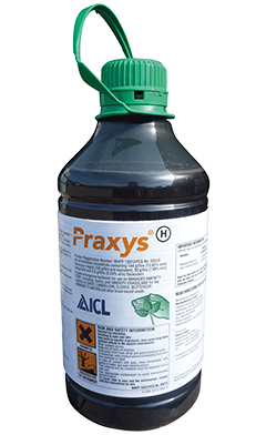 Praxys - Selective Weed Killer - 2ltr